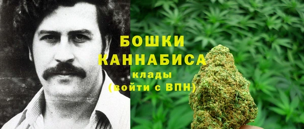 СК Зеленокумск