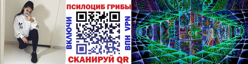 Галлюциногенные грибы прущие грибы  Серафимович 